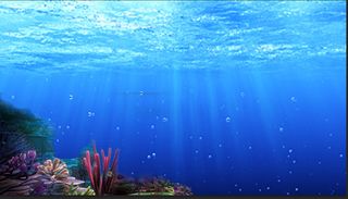 iwak shark cacucut - Screenshot 3