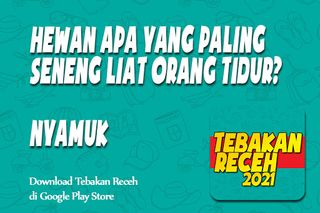 Tebak Tebakan Receh - Screenshot 2