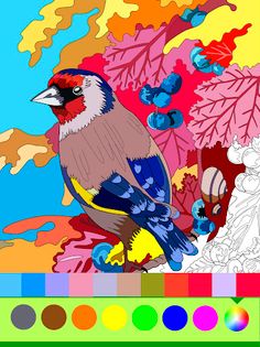 Birds Coloring Art Book - Screenshot 4