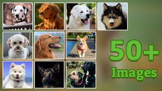 Dog Jigsaw Puzzle - Screenshot 2