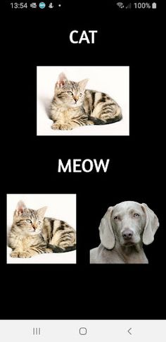 Animal Sounds - Screenshot 2