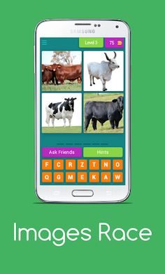 Images Race - Screenshot 4