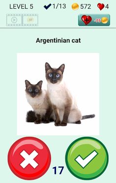 QUIZ True or False - Screenshot 3