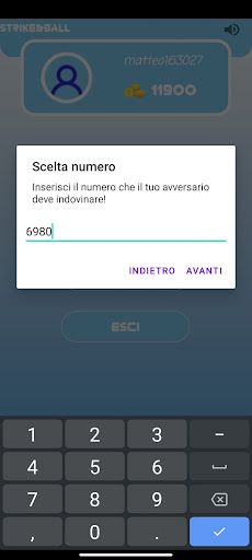 Strike&Ball - Indovina il nume - Screenshot 1