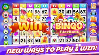 Bingo Blackout Winner - Screenshot 1