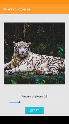 Tiger Jigsaw Puzzle - Screenshot 3