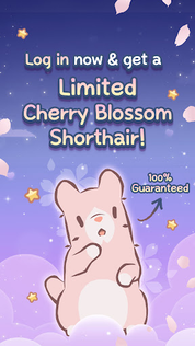Cats & Soup : Magic Recipe - Screenshot 5
