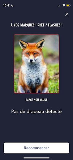 Gwennhadu’Flash - Screenshot 4