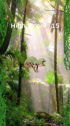 Chameleon - Screenshot 1