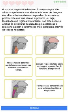 BioMais - Screenshot 2