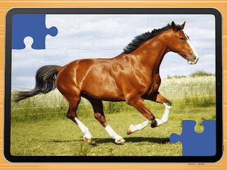 Horse puzzle game PRO - Screenshot 1