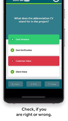 PM Methods Quiz IPMA ICB4 - Screenshot 2