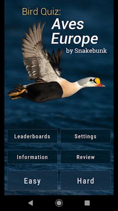 Bird Quiz: Aves Europe - Screenshot 1