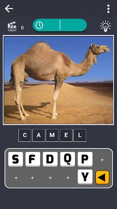 Guess The Picture - Screenshot 2