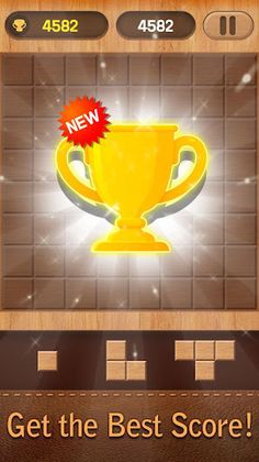 Wood Block Puzzle Play - Screenshot 4