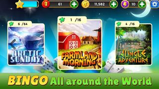 Bingo Star - Screenshot 3