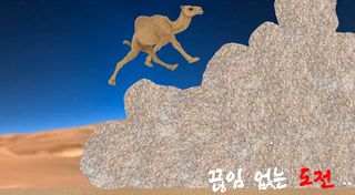 미친낙타 - Screenshot 1