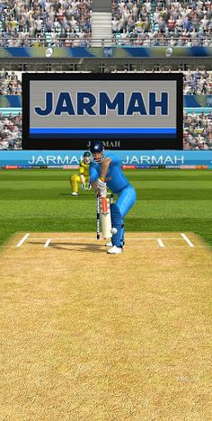 Out or Not Out? - Screenshot 1