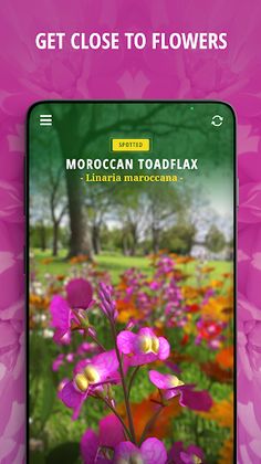 Tower Superbloom AR - Screenshot 2