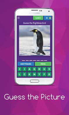 Guess the Picture - Screenshot 2