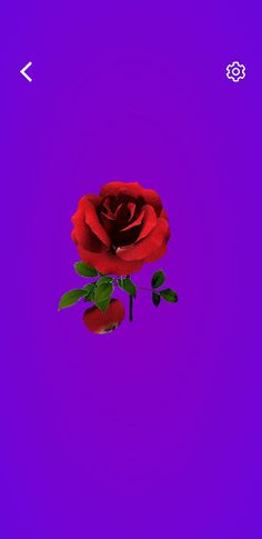 Loves or Not loves - Screenshot 3