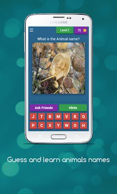 Guess and Learn Animals names - Screenshot 4