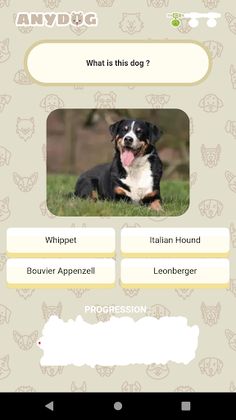 Anydog - Screenshot 2