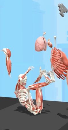 Human Run ! - Screenshot 2