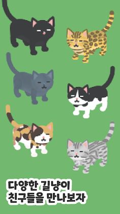 길냥이 키우기 - Screenshot 4