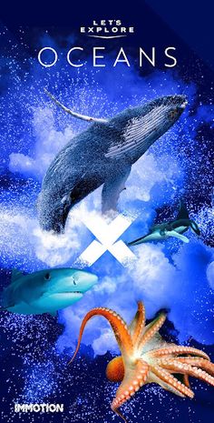 Let's Explore: Oceans - Screenshot 1