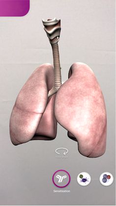 Allergic Asthma - Screenshot 1