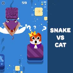 PILLI GO - Screenshot 4