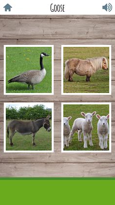 Kids Farm Game: Toddler Games - Screenshot 4