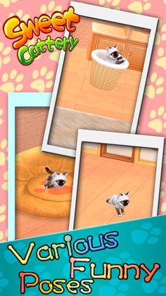 Sweet Cattery——Cat-raising gam - Screenshot 1