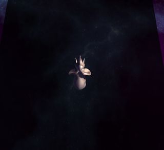 Evade Balls - Screenshot 1