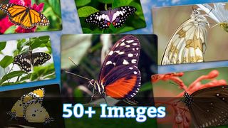 Butterfly Jigsaw - Screenshot 2