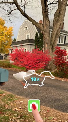 Running Goose - Screenshot 2