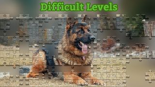 Dog Jigsaw Puzzle - Screenshot 3