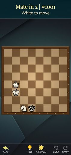 Chess Riddles Deluxe - Screenshot 2