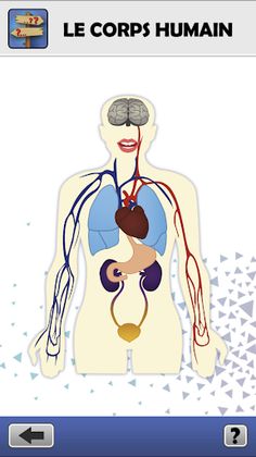 STAT Santé - Screenshot 3