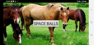 Ache o Cavalo - Screenshot 2