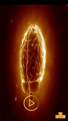 LevelUp - Screenshot 1