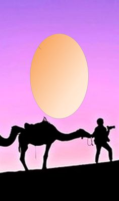 Break Egg - Screenshot 4