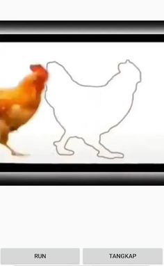 Tangkap ayam dan Sapi - Screenshot 1