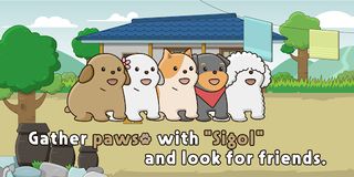 Country Mutt : Cute Puppy Game - Screenshot 1