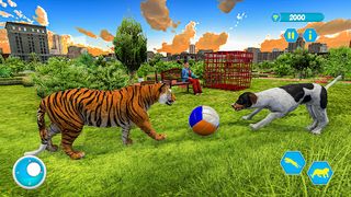 Family Pet Tiger Adventure - Screenshot 1