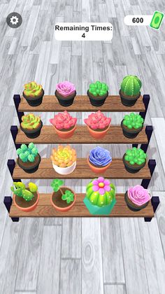 DIY Succulents - Screenshot 1