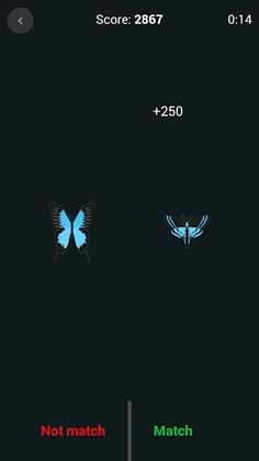 Brain Games - Screenshot 3