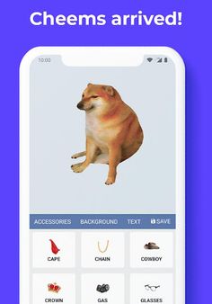 Dress Cheems - Screenshot 1