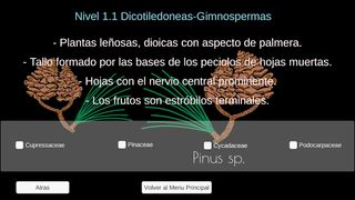 Botanica Sistematica + - Screenshot 3